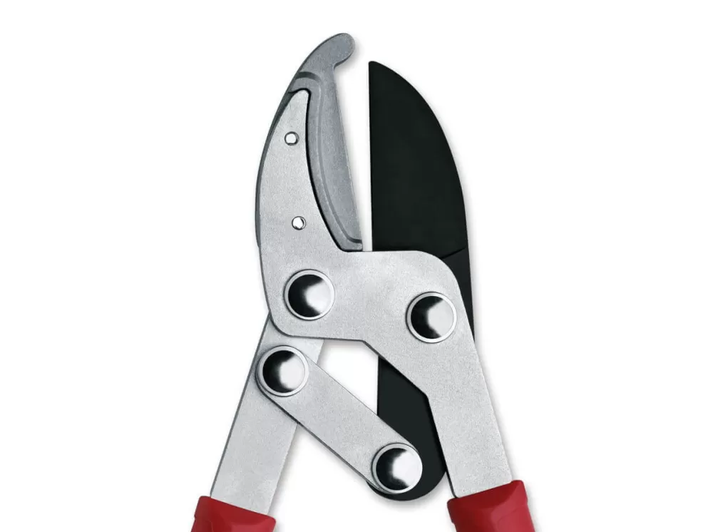 Due Cigni Branch Lopper Red> Scissors