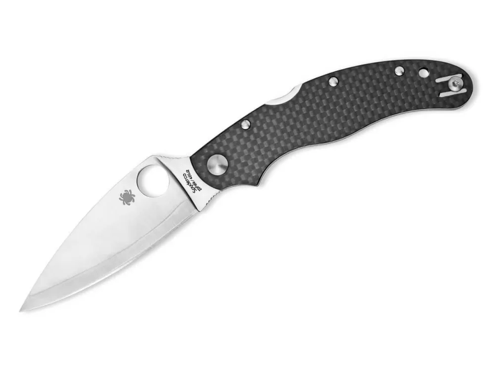 Best Spyderco Caly 3.5 Zdp