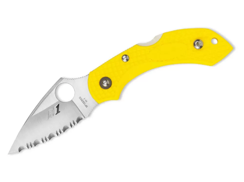 Best Spyderco Dragonfly 2 Salt Serrated