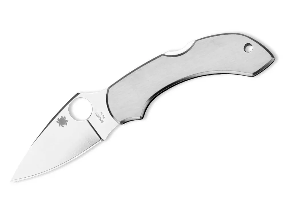 Store Spyderco Dragonfly Stainless Steel Plain