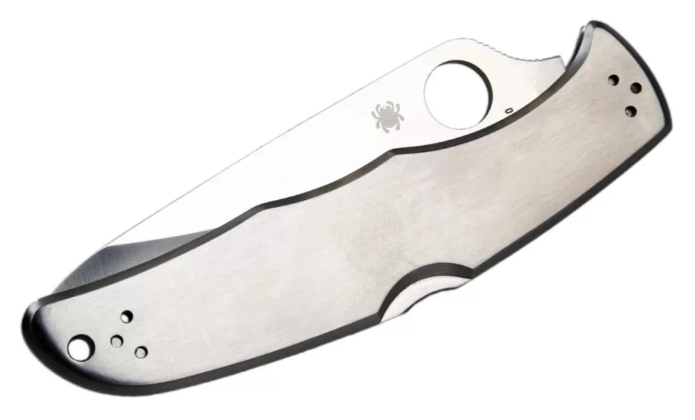 Best Sale Spyderco Endura Combination