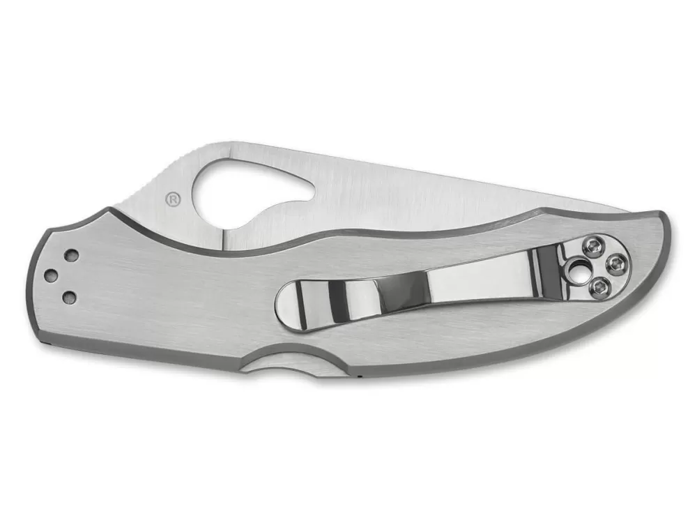 Hot Spyderco Harrier 2 Stainless Steel