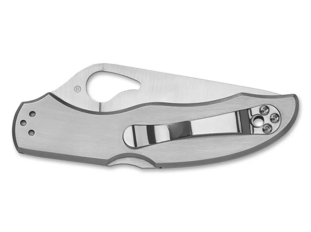 Outlet Spyderco Harrier 2 Stainless Steel Combination