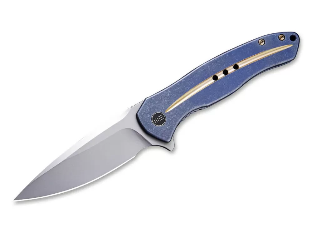 New WE Knife Kitefin Golden Groove