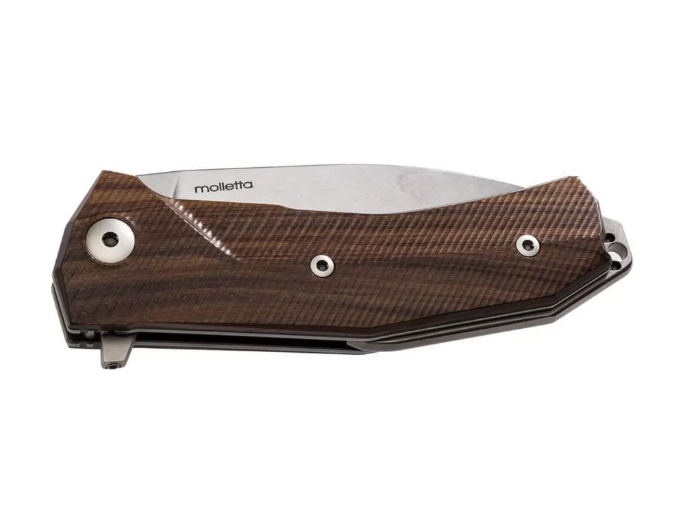 Fashion LionSteel Kur Santos Wood