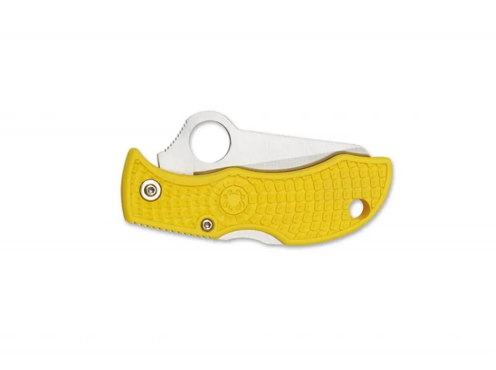 Fashion Spyderco Manbug Salt