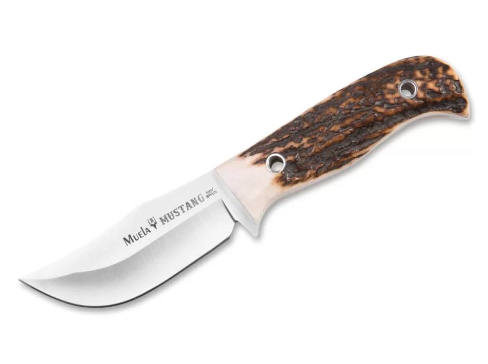 Muela Mustang Stag> Outdoor Knives