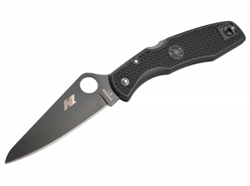 Best Spyderco Pacific Salt Black Plain