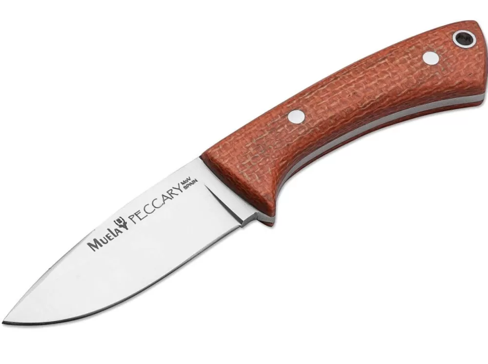 Muela Peccary Orange> Outdoor Knives