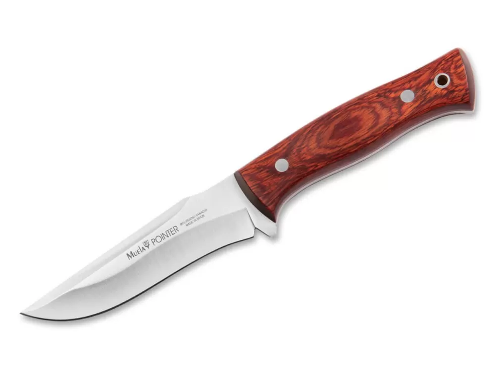 Muela Pointer> Outdoor Knives