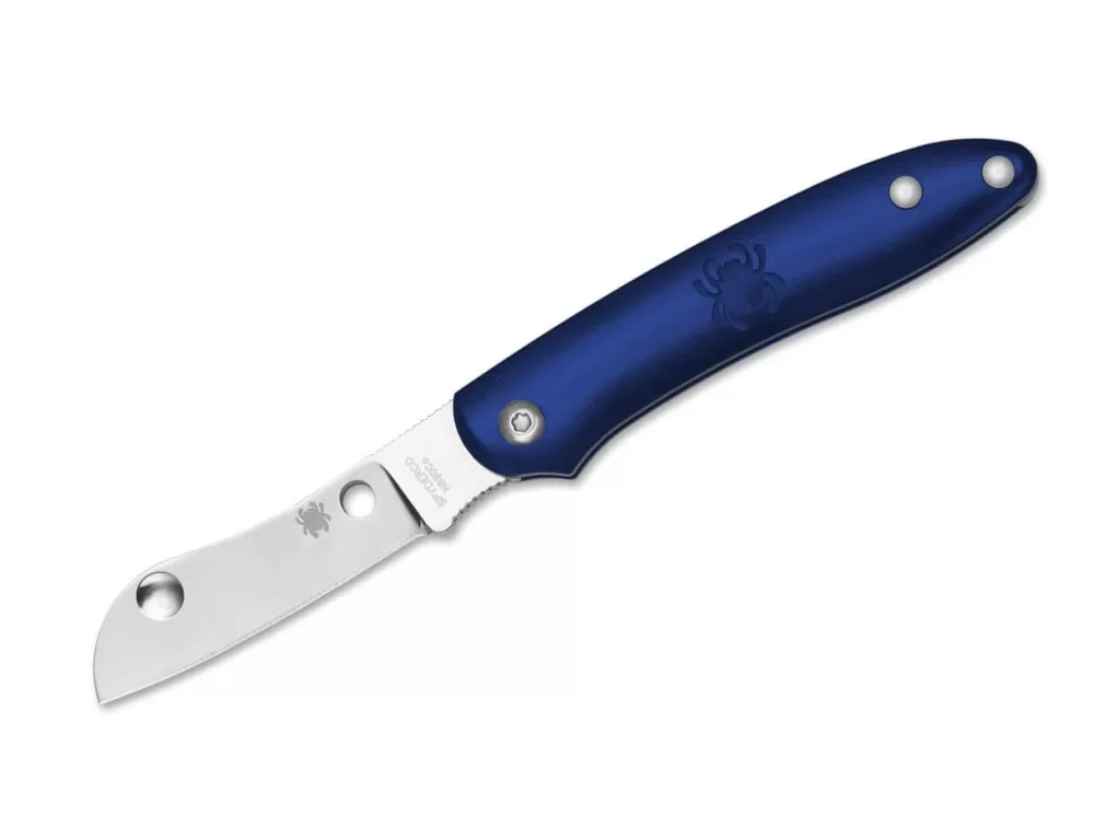 Cheap Spyderco Roadie Blue