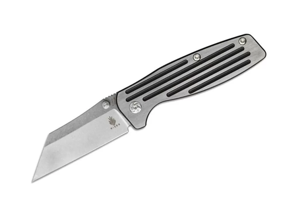 Hot Kizer Rogue