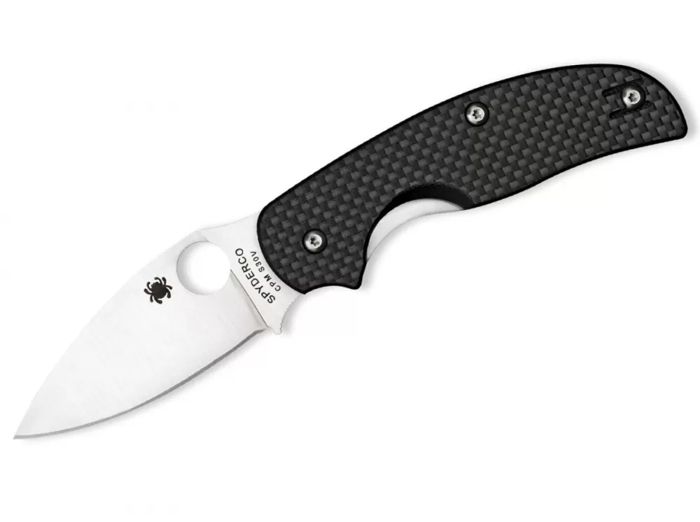 Online Spyderco Sage C123