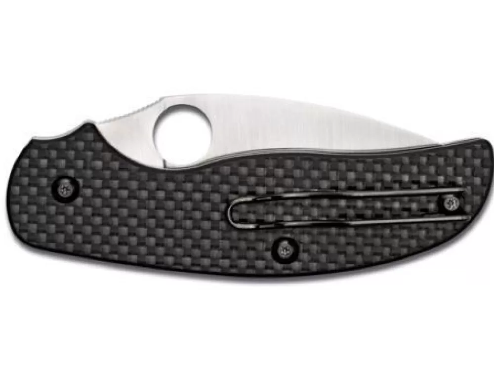 Online Spyderco Sage C123