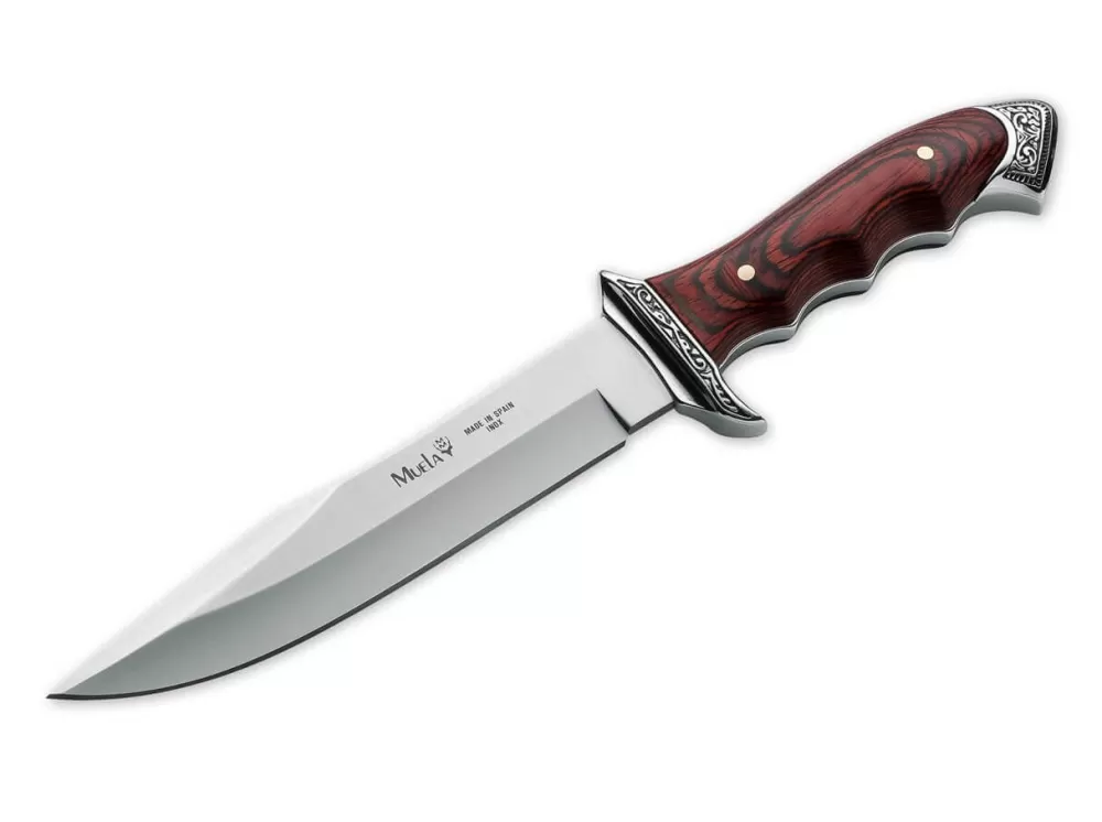 Muela Venecia> Outdoor Knives