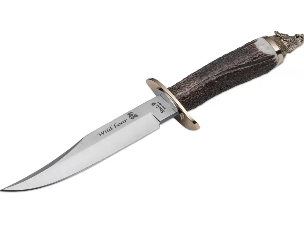 Muela Wildboar Hirschhorn> Collector'S Knives