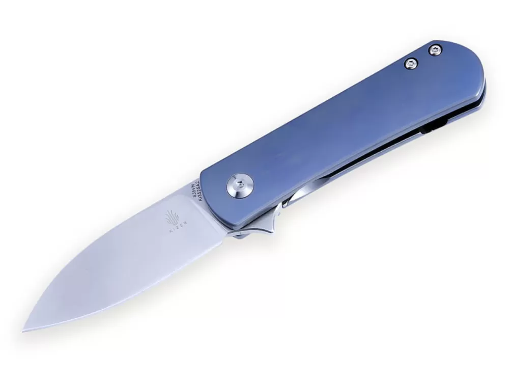 Best Kizer Yorkie Blue